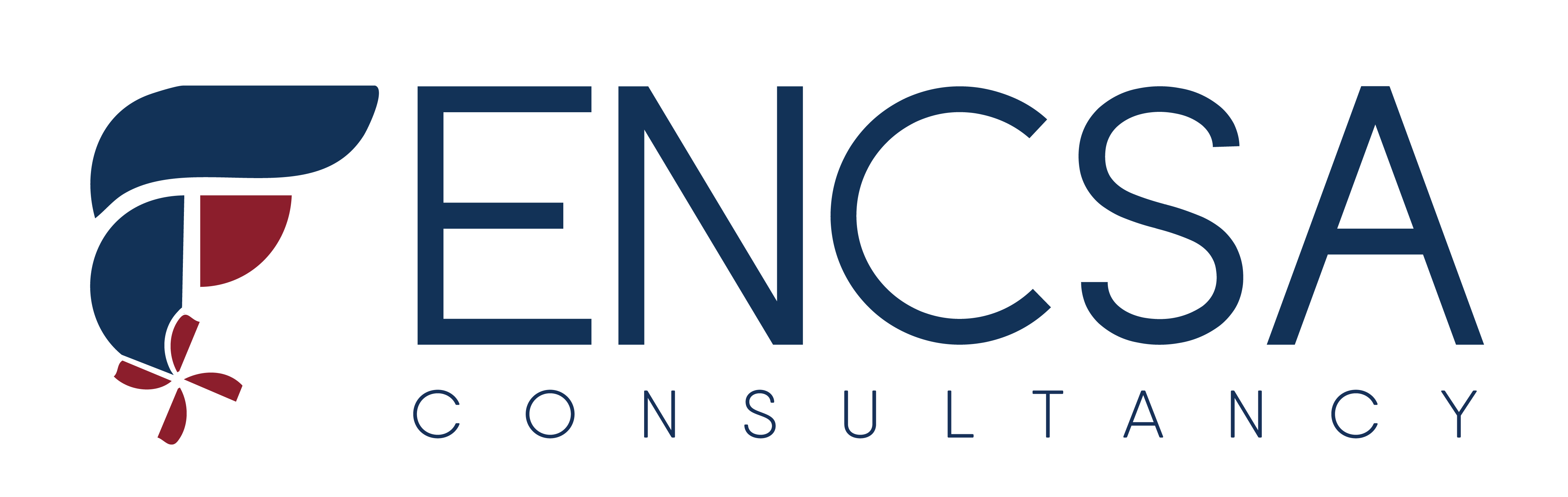 ENCSA CONSULTANCY